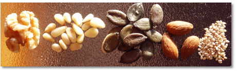 Nüsse, Samen, Kerne - gesunde Fette